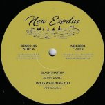 Black Iration / Jah Is Watching You / Rootskanking / Rootskanking Dub - Kenny Knots / Rootsmala / Aratz / BDF