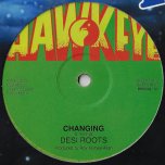 Changing / Dub - Desi Roots