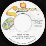 Chatti Mouth / Herb House - Tyrone Downie And The Naturals / Bunny And Tyrone