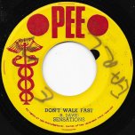 Don't Walk Fast / What Are You Doing Sunday - The Sensations