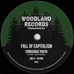 Fall Of Capitalism / Part II - Conscious Youth 