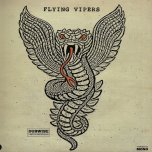 Green And Copper - Flying Vipers