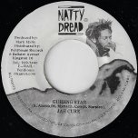 Guiding Star / Ver - Jah Cure