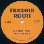 Irie Mediation / Meditation Dub - Don Hartley