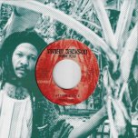 Jah Vengeance / Dub - The Prophets