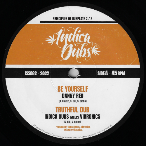 PRINCIPLES OF DUBPLATE 2 Be Yourself / Truthful Dub / Hunted / Shadow Dub - Danny Red / Indica Dubs Meets Vibronics