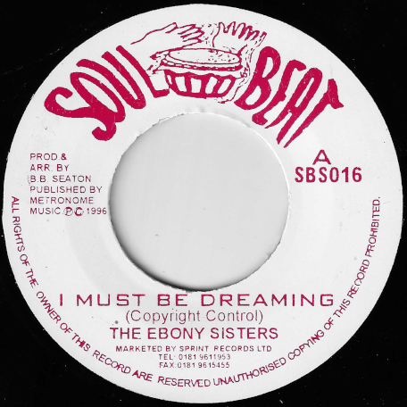 I Must Be Dreaming / Something New - The Ebony Sisters / The Conscious Minds