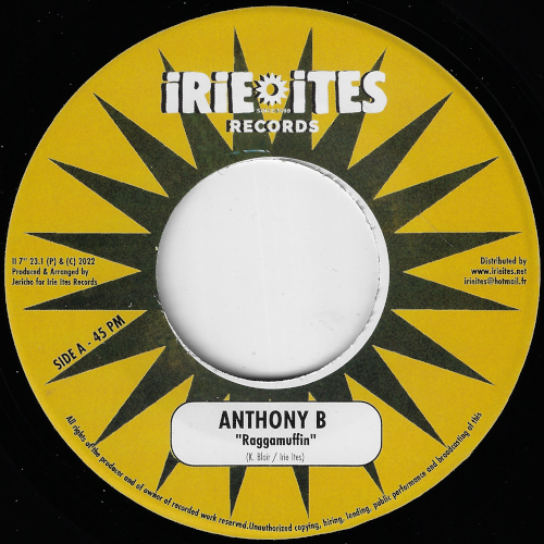 Raggamuffin / Build Up A House - Anthony B / Brother Culture
