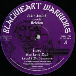 Levi / Kes Lewi Dub / Lead I Dub (Unreleased) / Fasting And Prayer / Subaae Dub / Prolonged Dub - Fikir Amlak Meets Brizion