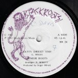 Natty Dread Time / Into The Light - Junior Roots / Black Trap