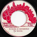 Nothing Is Impossible / Ver - The Interns / The Hardy Boys