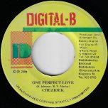 One Perfect Love - Forever Loving Rhythm - Chezidek