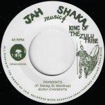Payments / Dub The Payments - Bush Chemists / Dougie Conscious And Chazbo