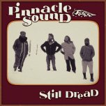 Still Dread - Pinnacle Sound Feat..Payoh Soul Rebel..Les Steadies..Jr Thomas