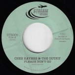 Please Don't Go / Instrumental - Ches Haynes & The Outfit