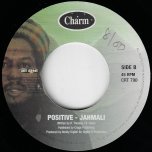 Treasure Box / Positive - Jah Mali