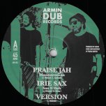 Praise Jah / Irie Sax / Version / Rasta Nah Brute / Irie Melodica / Version - Mannaroman / Sax N Dub / Armin
