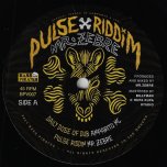 PULSE RIDDIM Daily Dose Of Dub / Pulse Riddim / Chant Against Evil Of The Pirates - Ampartito MC / Mr Zebre / Sola MC / Freddie Stork Feat Moon Sister