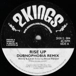 Rise Up (Dubnophobia Remix) / Rise Up (RSD Remix) / Rise Up (Slughead Bristol Remix) - Henry And Louis Feat Steve Harper