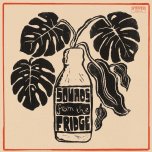 Sounds From The Fridge - The Co Operators And Friends