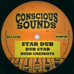 Star Dub / Dub Star / Change Must Come / Changing Dub - Bush Chemists / Rapha Pico