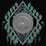 The Jungle Trembles / The Dubplate Trembles - Alpha & Omega Feat Nai Jah