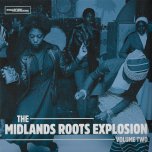 The Midlands Roots Explosion Volume Two - Various..Steel Pulse..Musical Youth..Mystic Foundation..Black Symbol