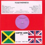 Togetherness - Various..Lloyd Brown..Winston Reedy..Earl Sixteen..Anthony Johnson