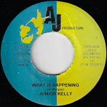 What Is Happening / Love Affair - Junior Kelly / Brian Oniel