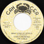 What Kind Of World / World Dub - Cable Drummond / The Cables