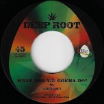 What Are We Gonna Do / Dub  - Luciano