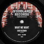 What We Want / What We Need Dub - Dub Kazman