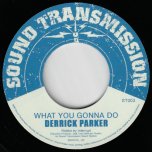 What You Gonna Do / Dash Dem Weh - Derrick Parker / Tippa Lee