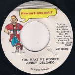 You Make Me Wonder - Junior Delgado